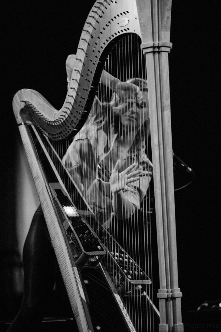 The Bionic Harpist